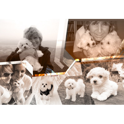 Fotokoláž ze zaslaných fotografií, tisk na kapa desku, fotoobraz