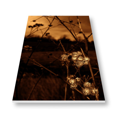 Tisk fotografie na kapa desku - pěnová deska